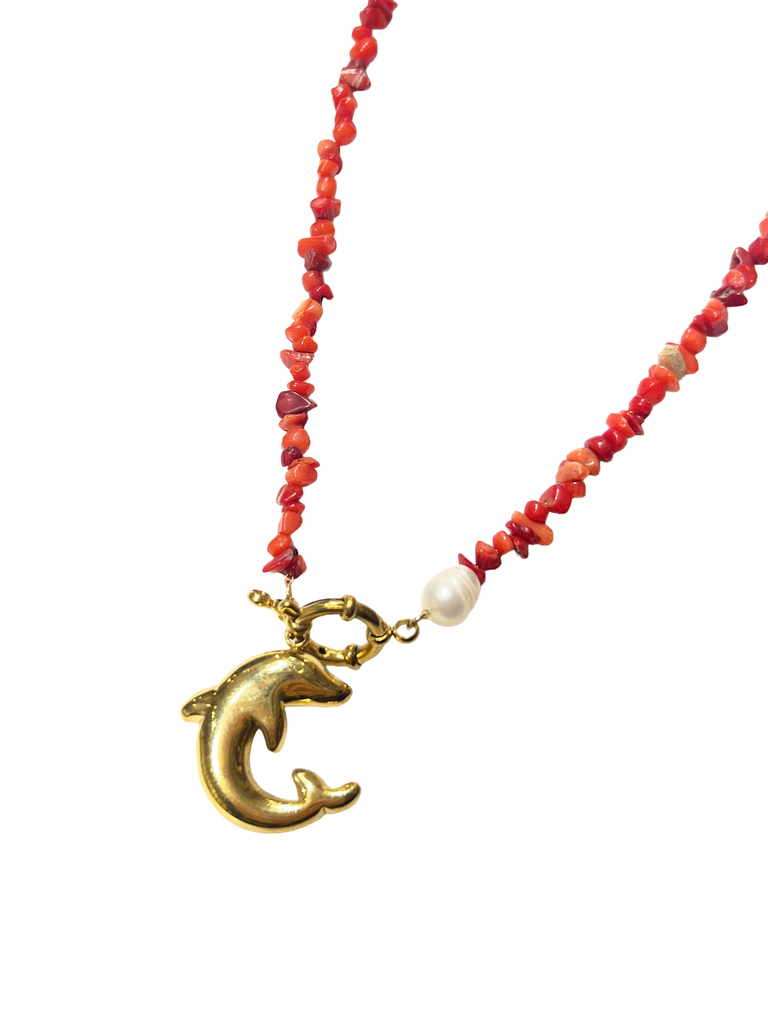 ACESSÓRIOS-SC241008-6K