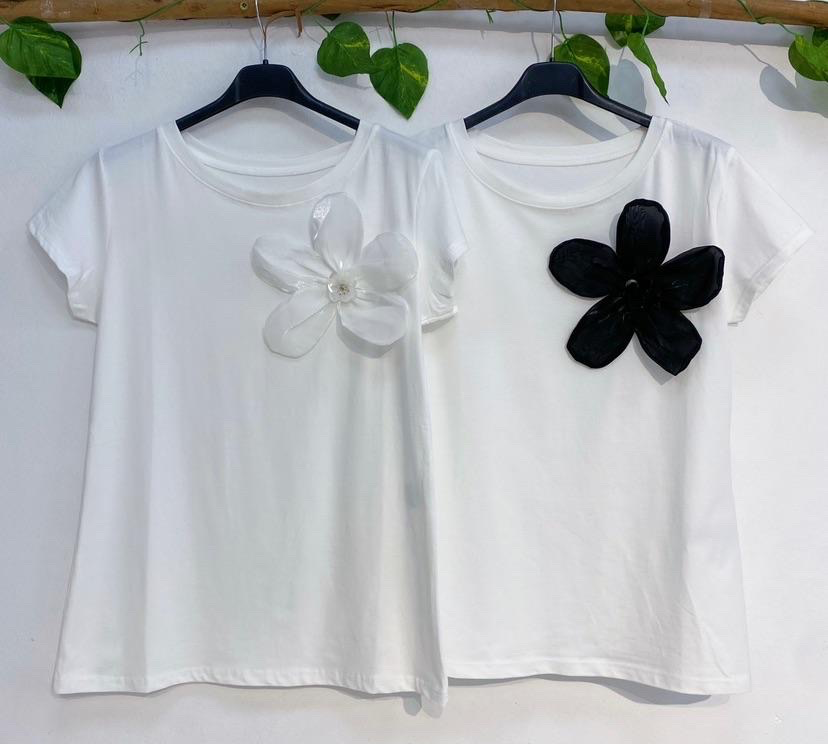 TSHIRTS-TS5020404