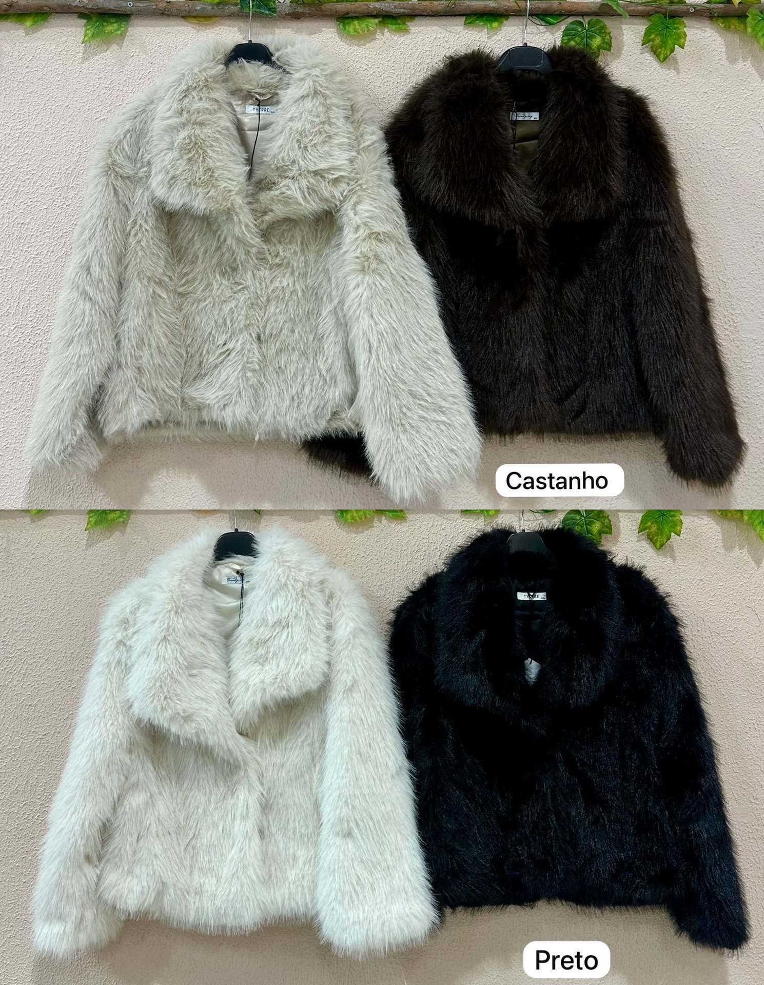 CASACOS-66033