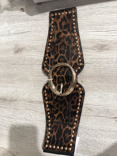 [AMY-CT1017] AMY-CT1017