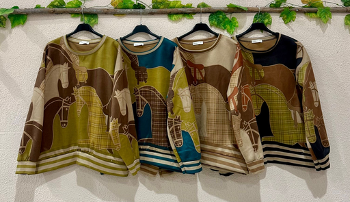 [OL219622] BLUSAS-OL219622