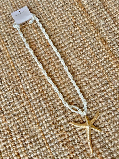 [C241008-1B] C241008-1B