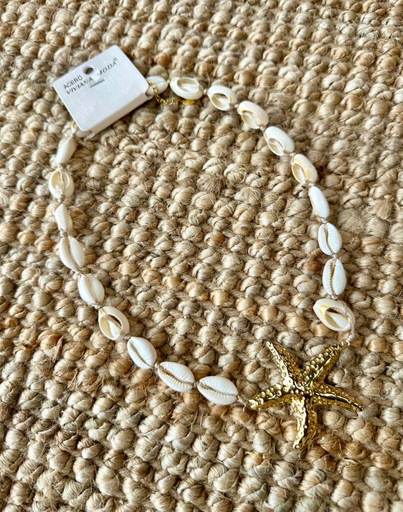 [SC241005-6F] SC241005-6F