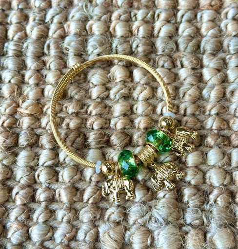 [SZ241008-5H] SZ241008-5H