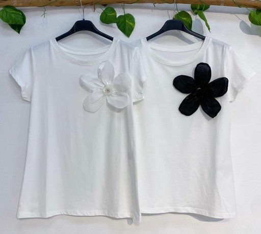 [TS5020404] TSHIRTS-TS5020404