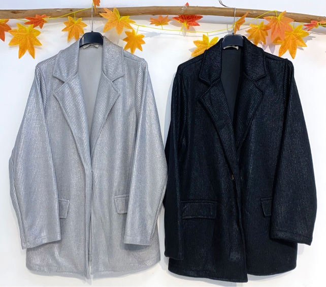 BLAZER-52013